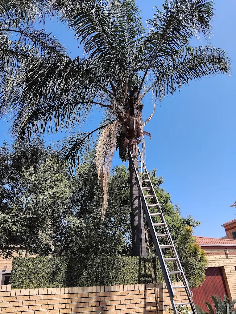 Outdoor service project in progress