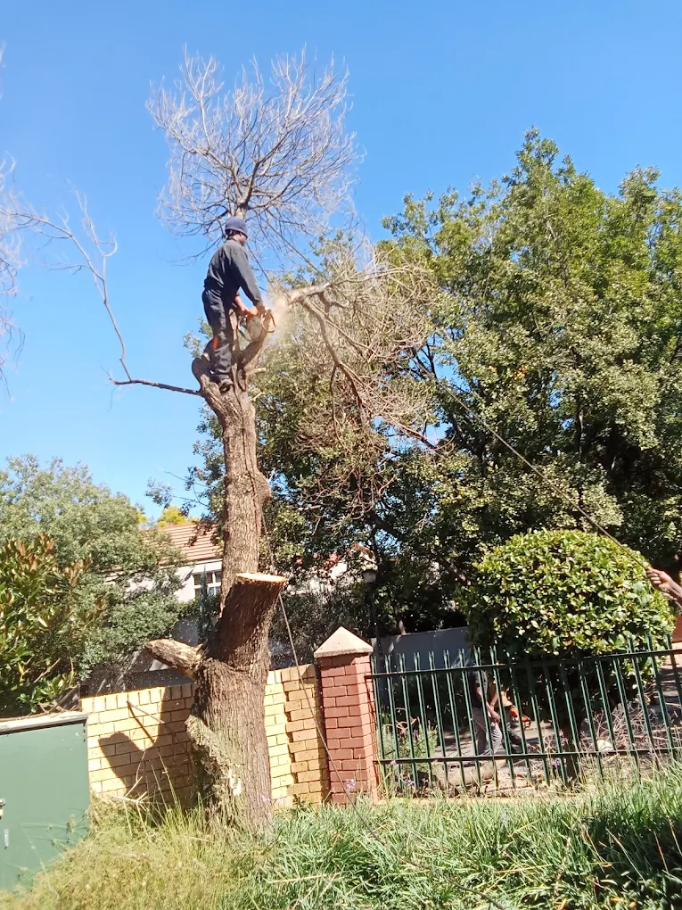 Landscaping and tidy outdoor space